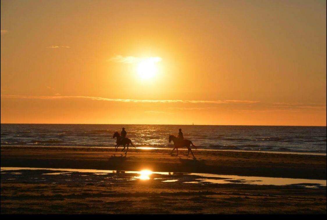 Zeezicht Oostduinkerke - Residentie Golfslag Appartement Buitenkant foto